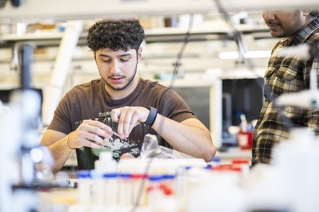 Undergraduate biochemistry student Sam Bargrizan conducts research in Douglas Root's lab